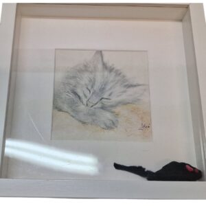 Fotolijst tekening kleur met muisje