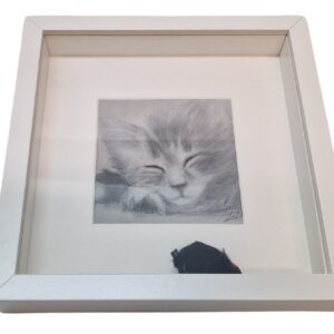 Fotolijst tekening met muisje