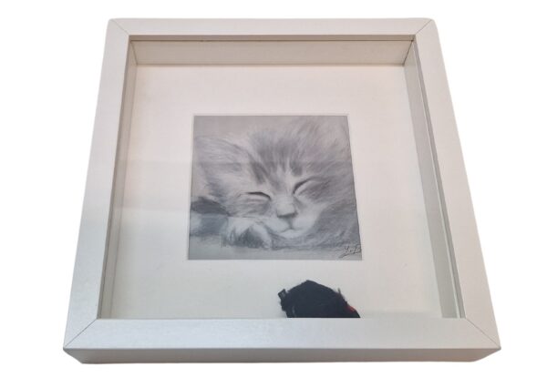 Fotolijst tekening met muisje