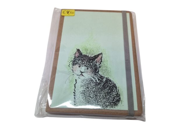 Notitieblokje - kat blauw/groen