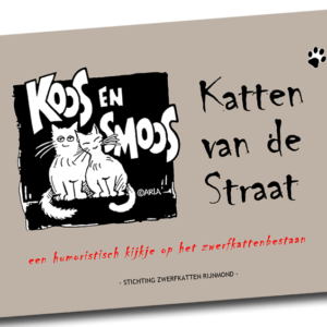 Katten van de straat