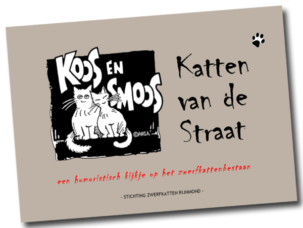 Katten van de straat