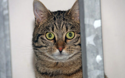 Sunny is thuis!