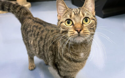 Muntje is thuis (samen met Kop)!